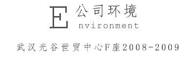 武汉兴思锐电子商务有限公司环境